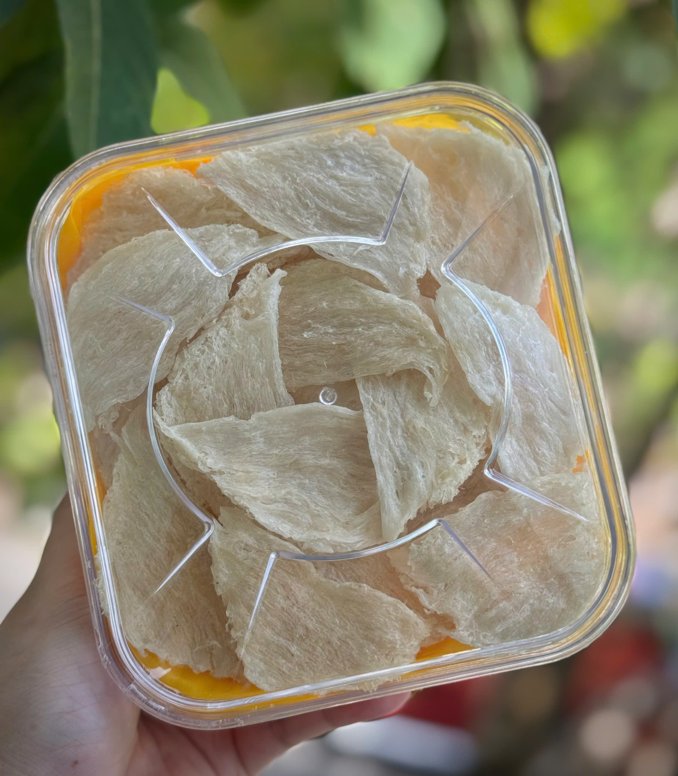 Chân rìa rút lông khô